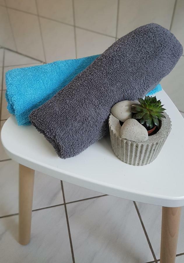 Naehe Mainz - Ferienwohnung - Apartment Breivogel In Wörrstadt Eksteriør billede